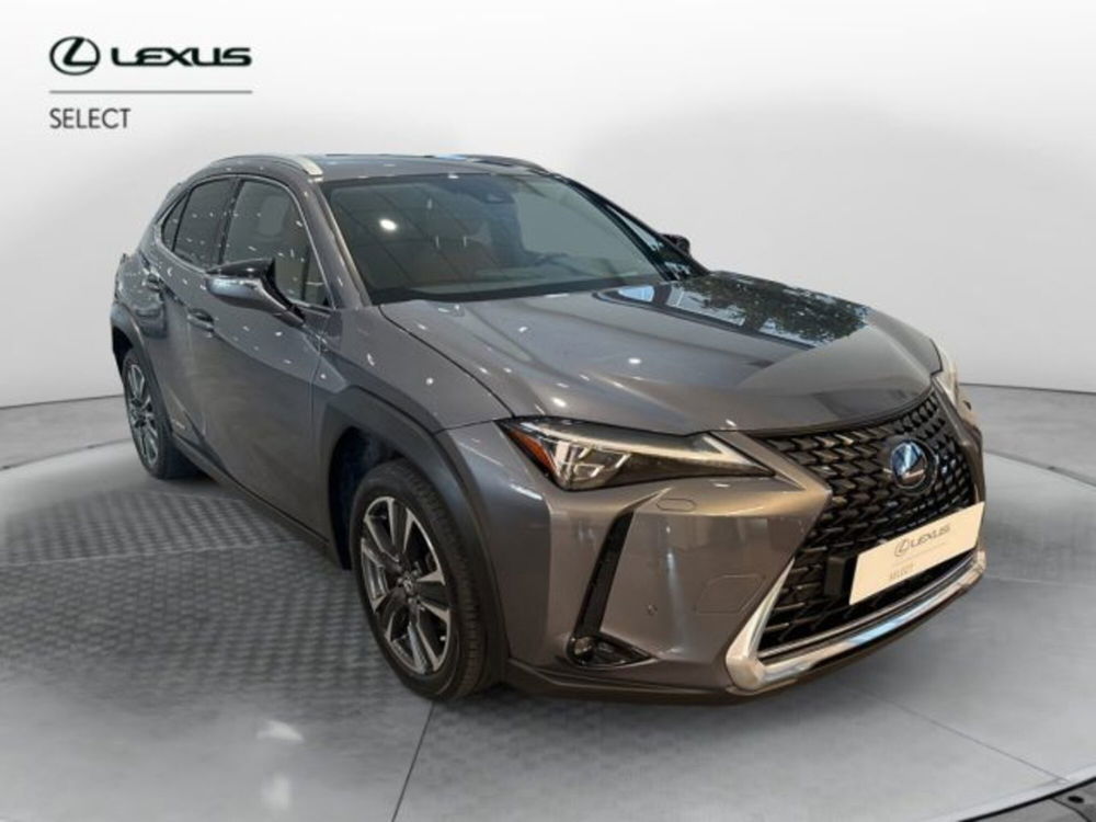 Lexus UX usata a Cuneo (8)