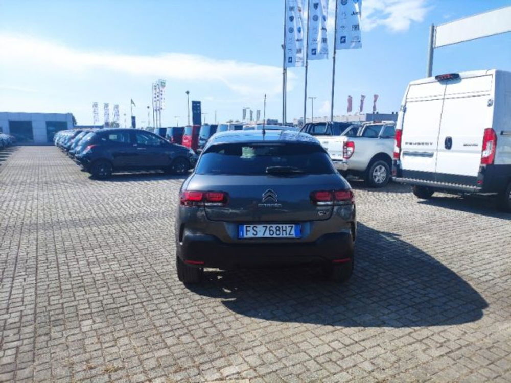 Citroen C4 Cactus usata a Frosinone (5)