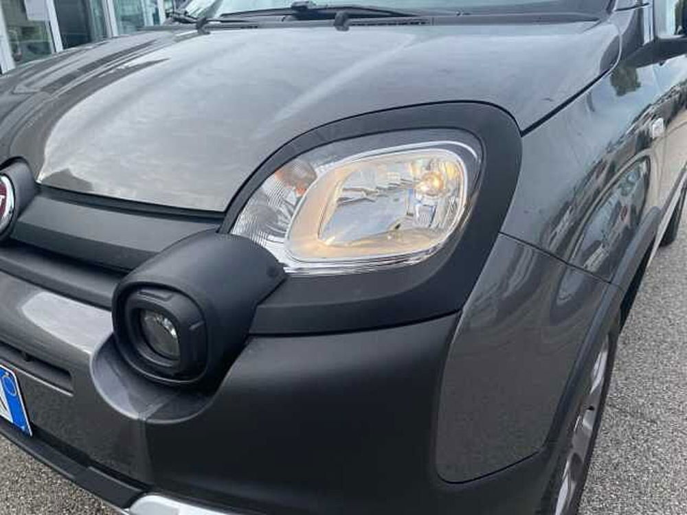 Fiat Panda Cross usata a Treviso (16)