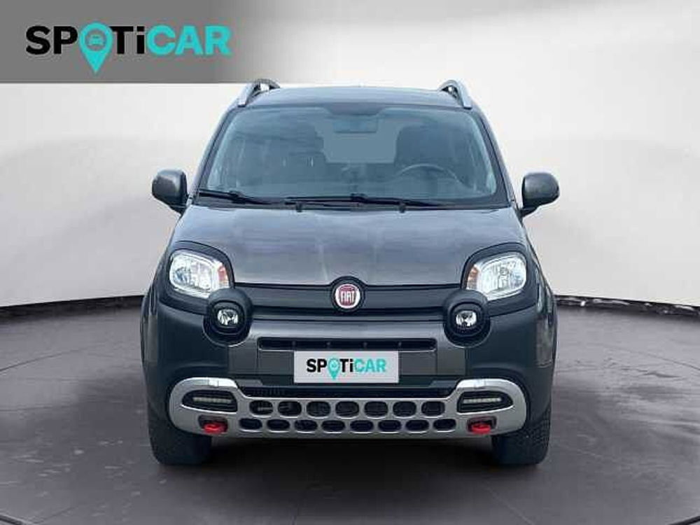 Fiat Panda Cross usata a Treviso (2)