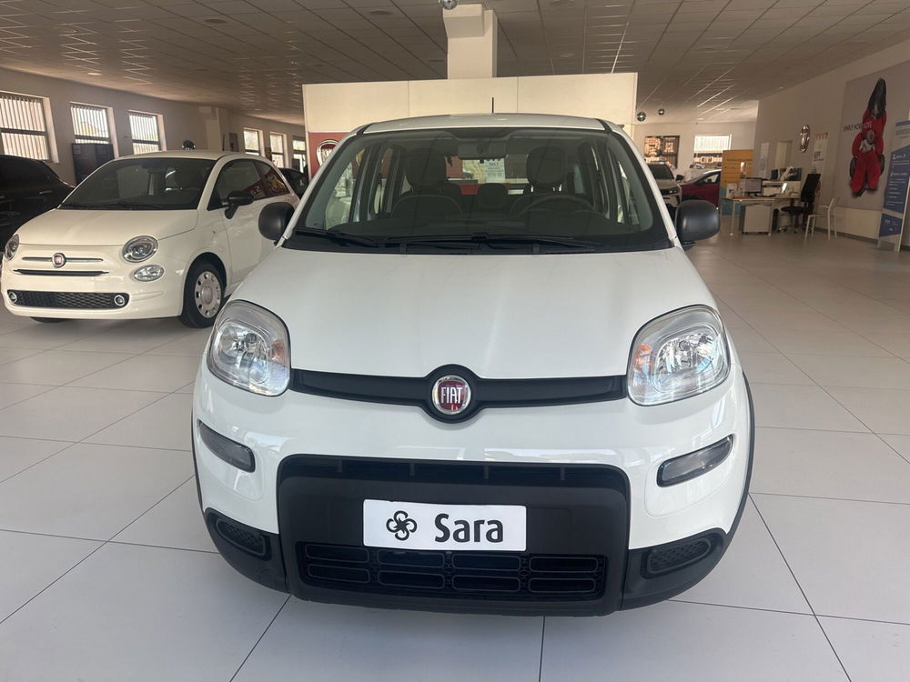 Fiat Panda Cross nuova a Benevento