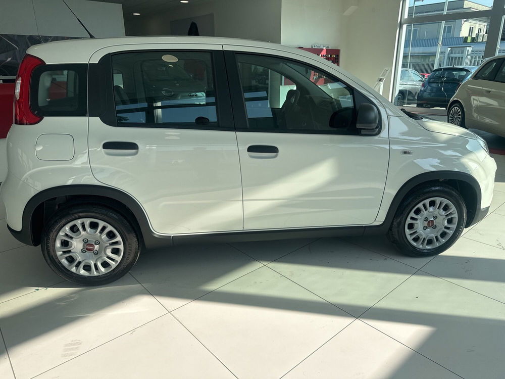 Fiat Panda Cross nuova a Benevento (2)