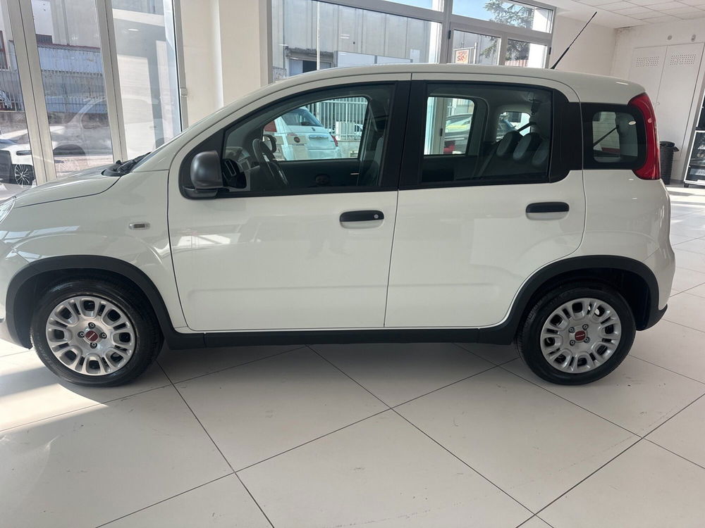 Fiat Panda Cross nuova a Benevento (3)