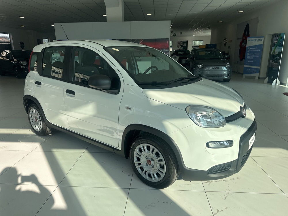 Fiat Panda Cross nuova a Benevento (4)