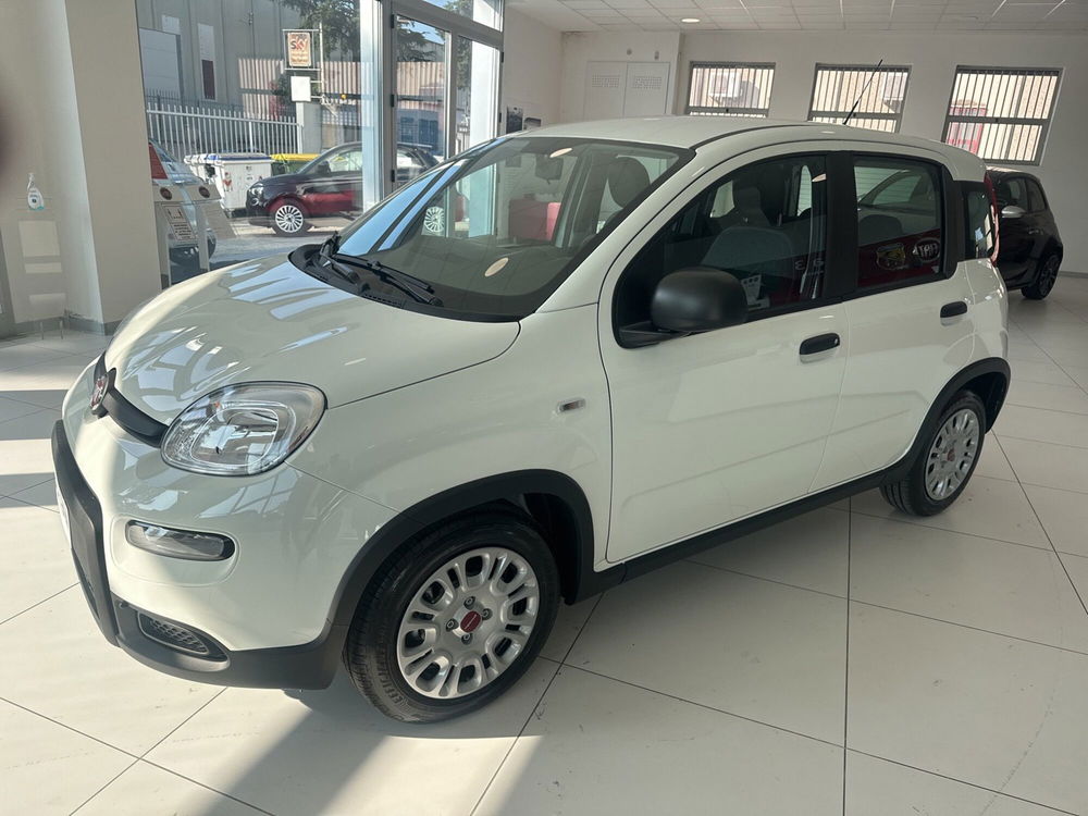 Fiat Panda Cross nuova a Benevento (5)