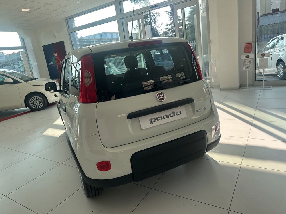 Fiat Panda Cross nuova a Benevento (6)