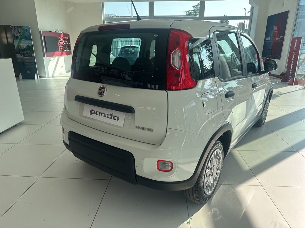 Fiat Panda Cross nuova a Benevento (7)