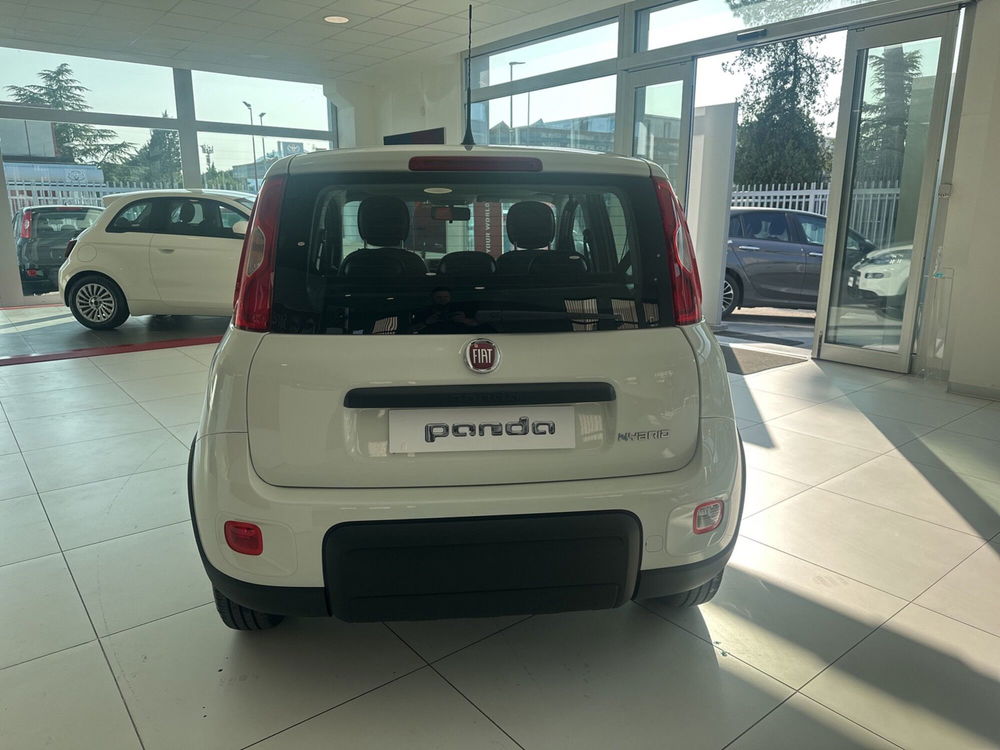 Fiat Panda Cross nuova a Benevento (8)