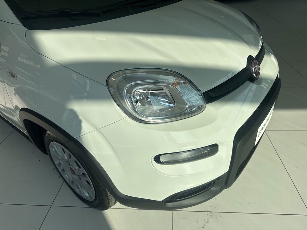 Fiat Panda Cross nuova a Benevento (9)