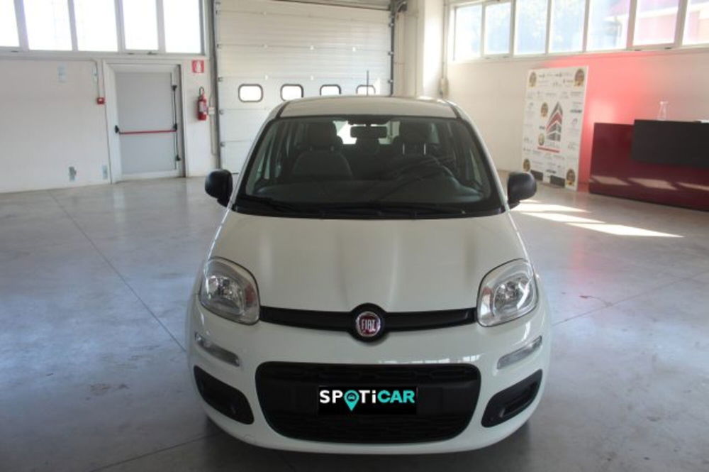 Fiat Panda usata a Terni (2)