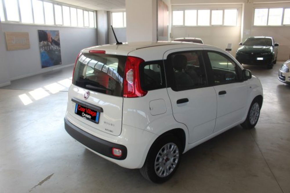 Fiat Panda usata a Terni (4)