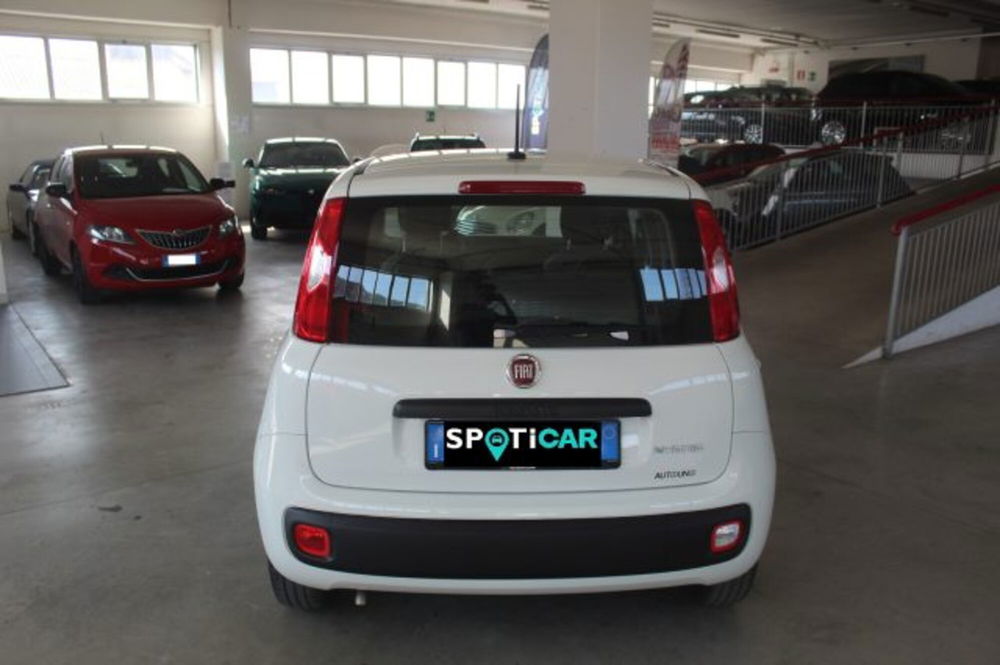 Fiat Panda usata a Terni (5)