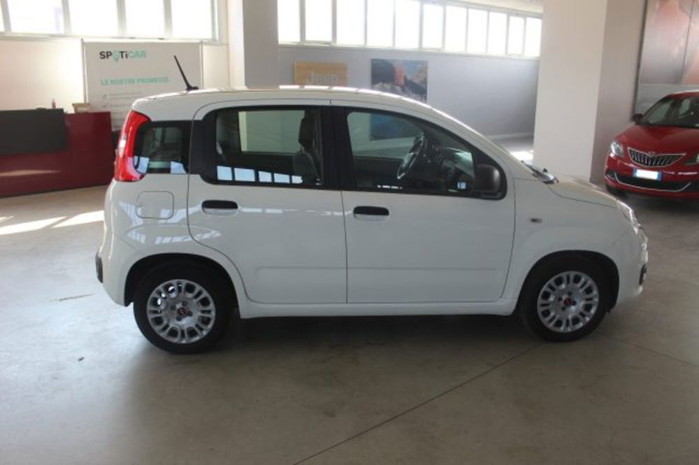 Fiat Panda usata a Terni (6)