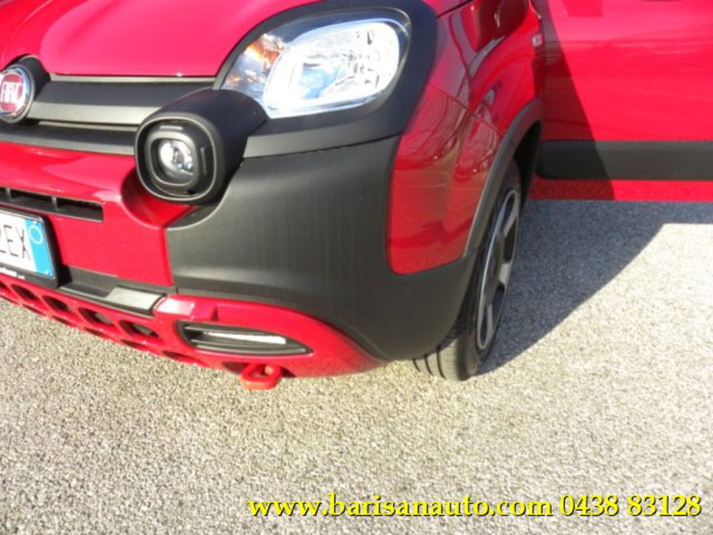 Fiat Panda Cross usata a Treviso (11)