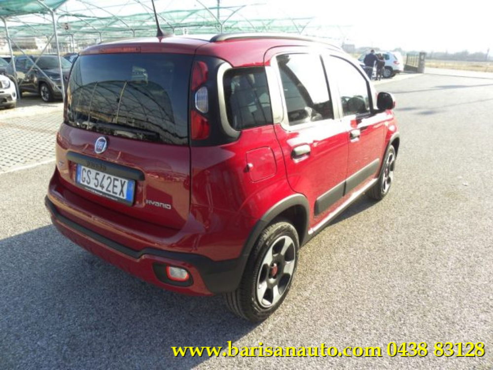 Fiat Panda Cross usata a Treviso (3)