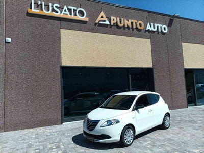 Lancia Ypsilon 1.2 69 CV 5 porte Elefantino  del 2014 usata a Ancona