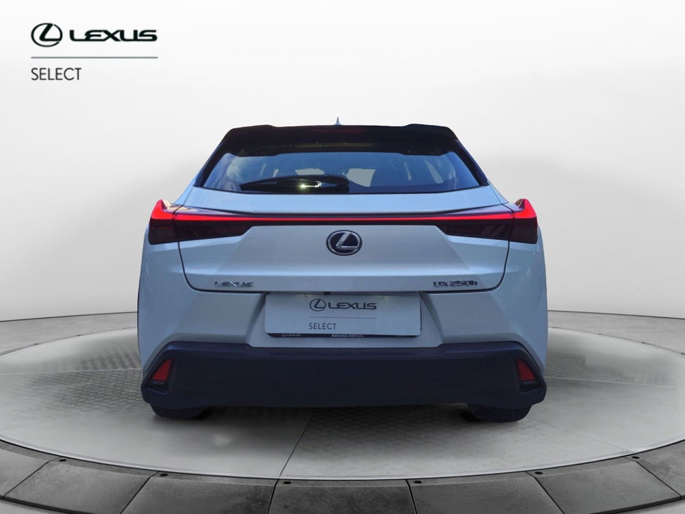 Lexus UX usata a Cremona (4)