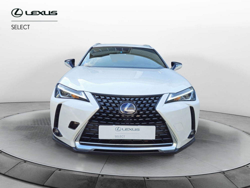 Lexus UX usata a Cremona (5)