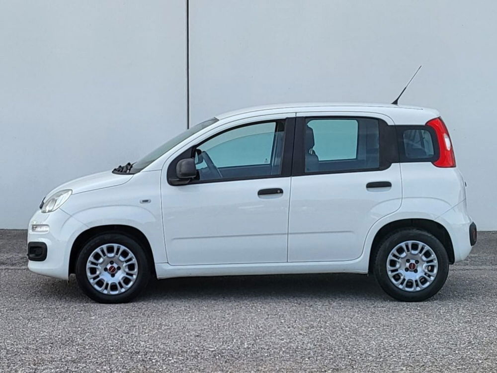 Fiat Panda usata a Foggia (2)