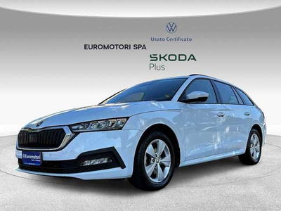 Skoda Octavia 1.0 e-TEC DSG Executive del 2021 usata a Grosseto