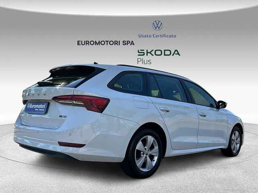 Skoda Octavia usata a Grosseto (4)