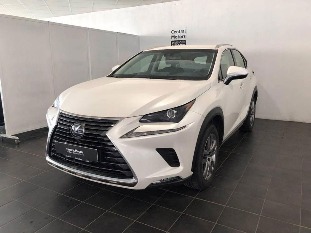 Lexus NX usata a Torino