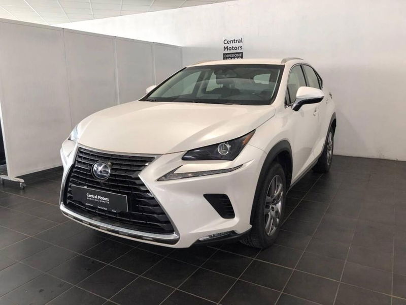 Lexus NX Hybrid 4WD Executive  del 2018 usata a Torino