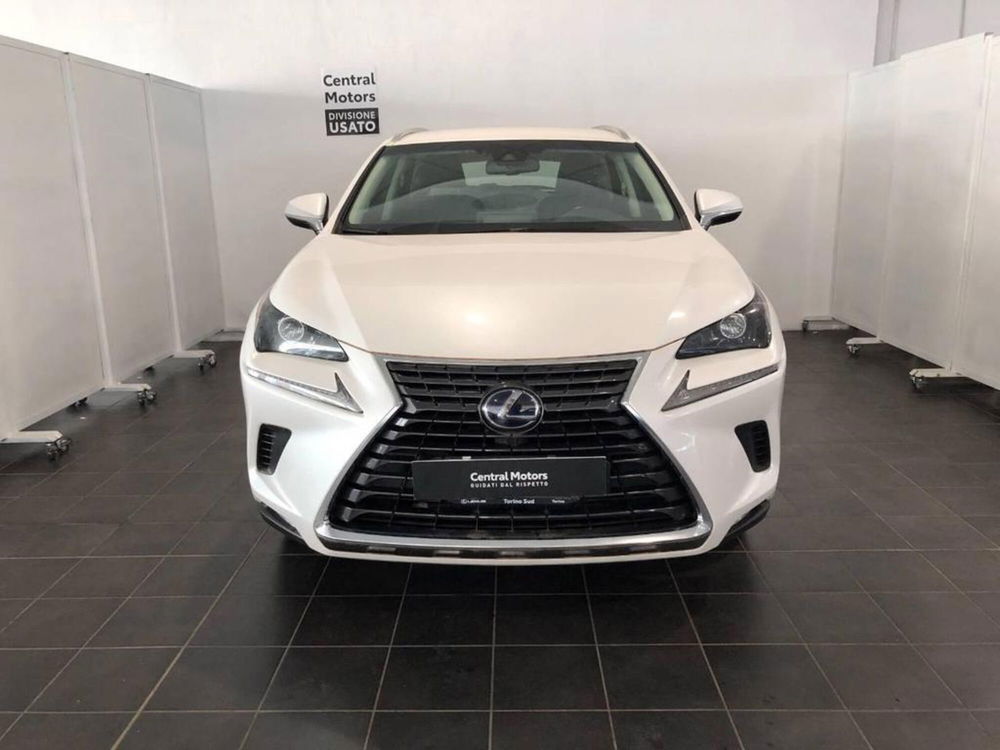 Lexus NX usata a Torino (2)