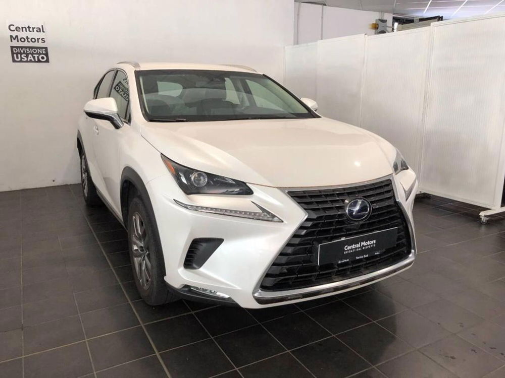 Lexus NX usata a Torino (3)