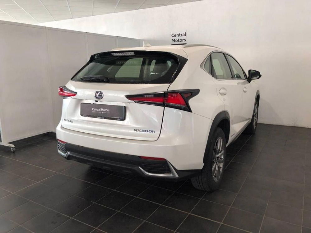 Lexus NX usata a Torino (4)