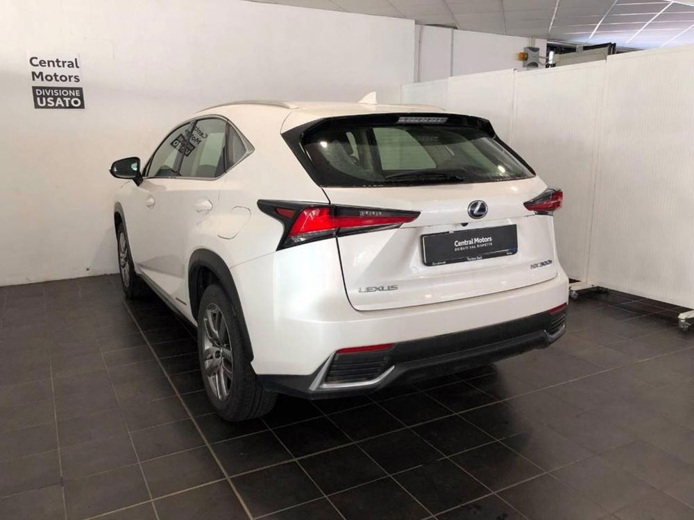 Lexus NX usata a Torino (5)