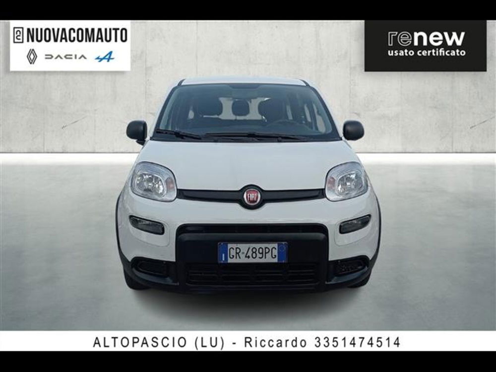 Fiat Panda usata a Firenze (2)