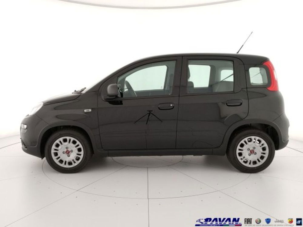 Fiat Panda nuova a Padova (6)