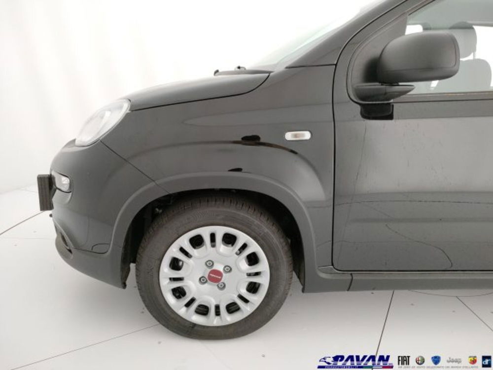 Fiat Panda nuova a Padova (19)