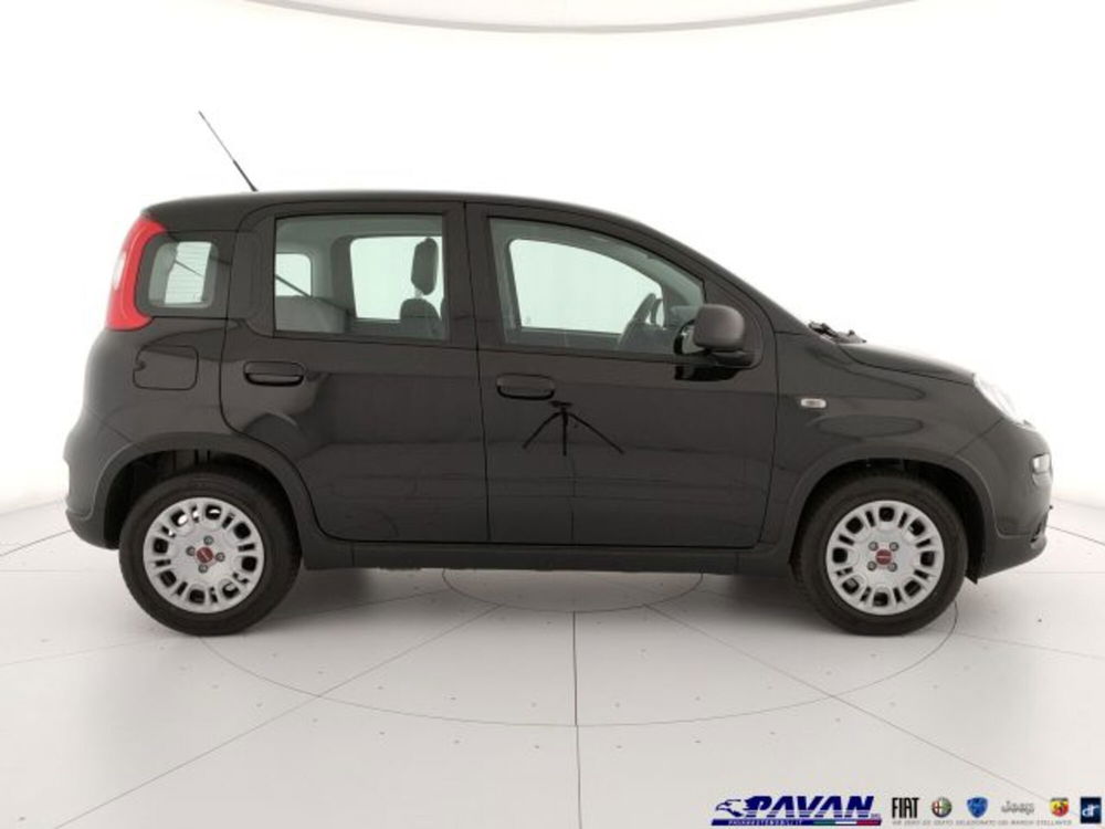 Fiat Panda nuova a Padova (5)