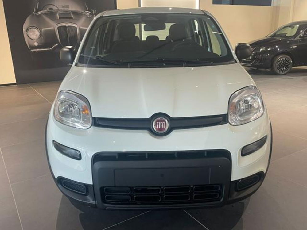 Fiat Panda nuova a Aosta (2)