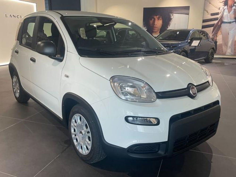 Fiat Panda nuova a Aosta (3)