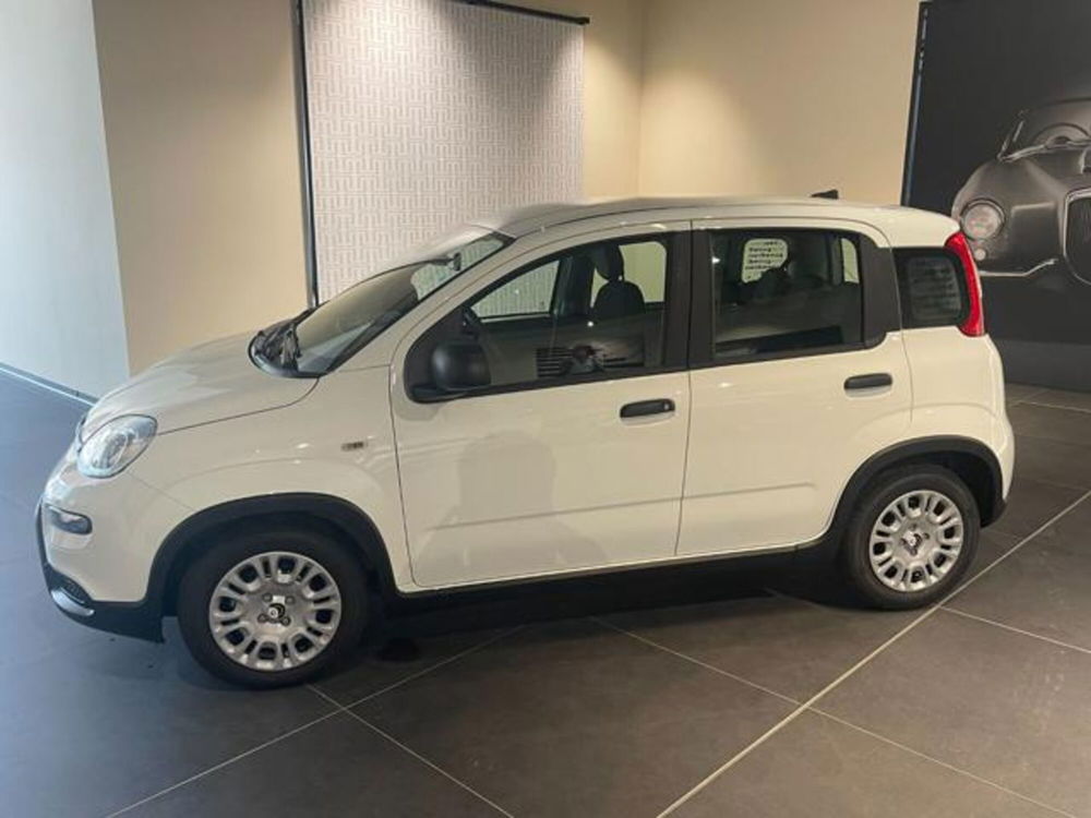 Fiat Panda nuova a Aosta (5)