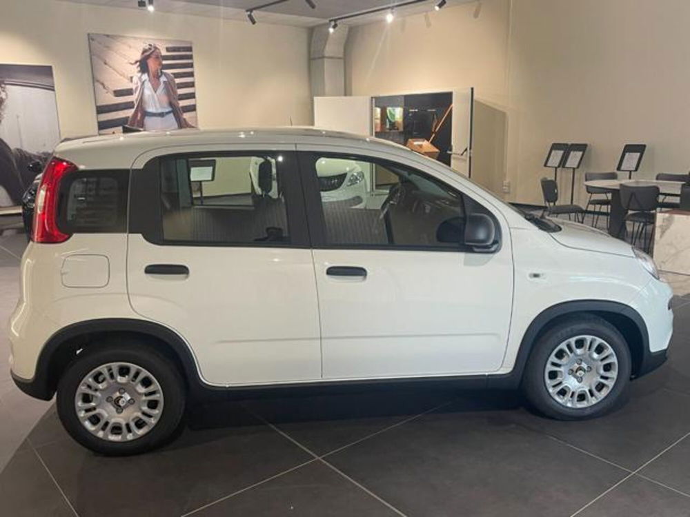 Fiat Panda nuova a Aosta (8)