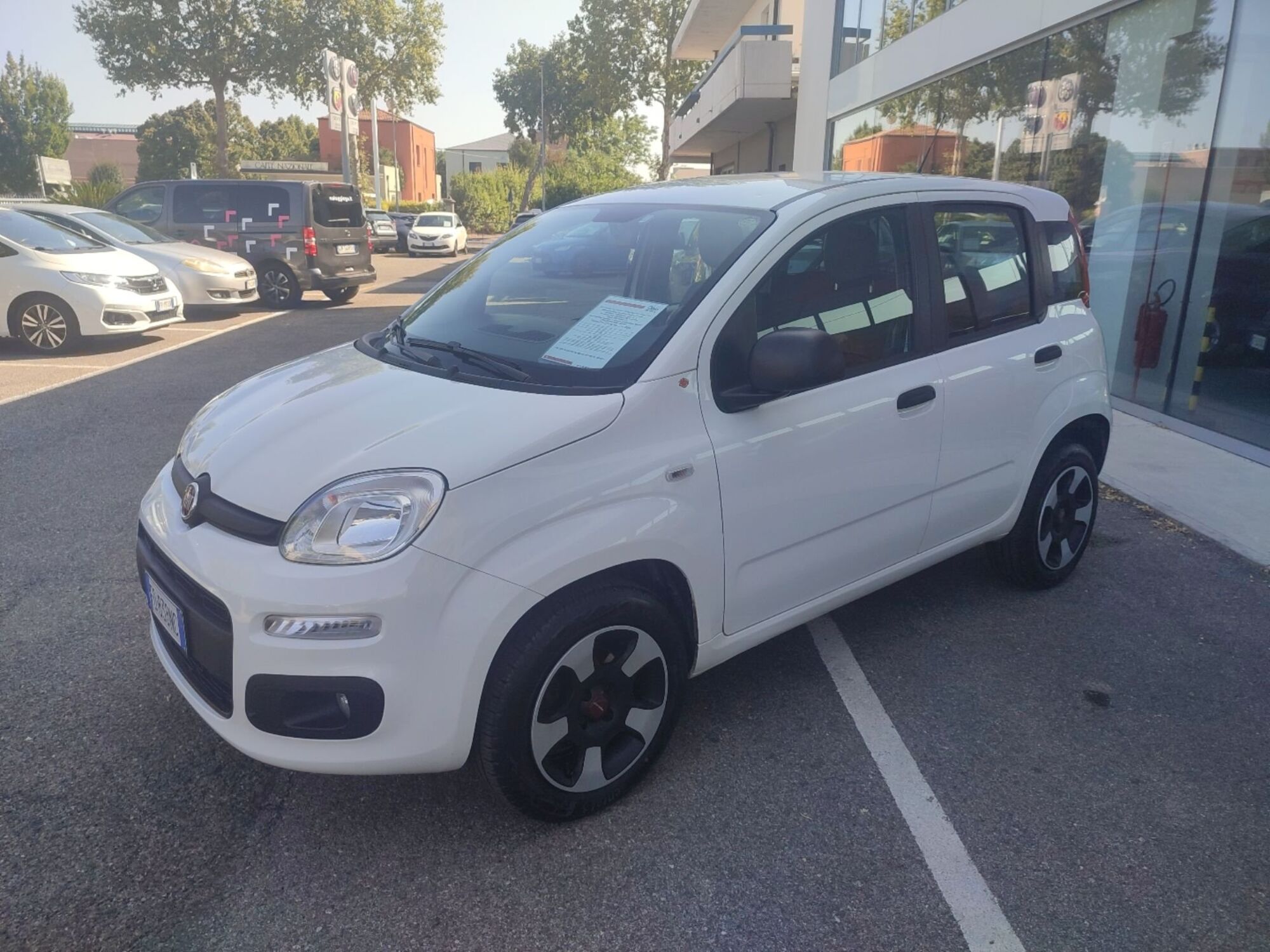 Fiat Panda 0.9 TwinAir Turbo Natural Power Pop  del 2016 usata a Mirandola