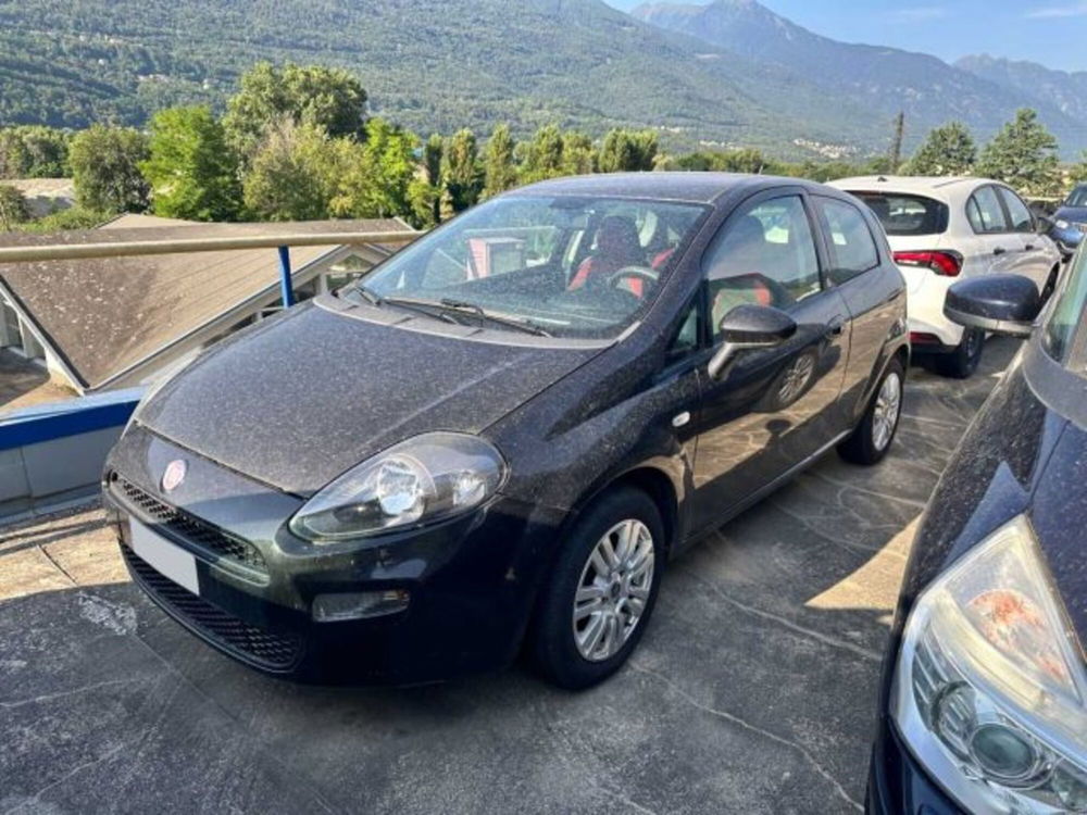 Fiat Punto usata a Sondrio