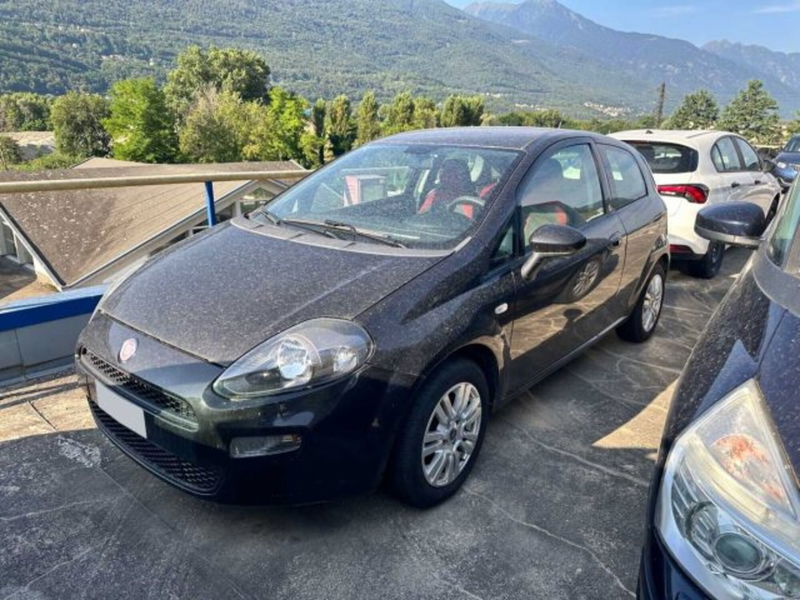 Fiat Punto 1.2 8V 3 porte Easy  del 2012 usata a Caspoggio