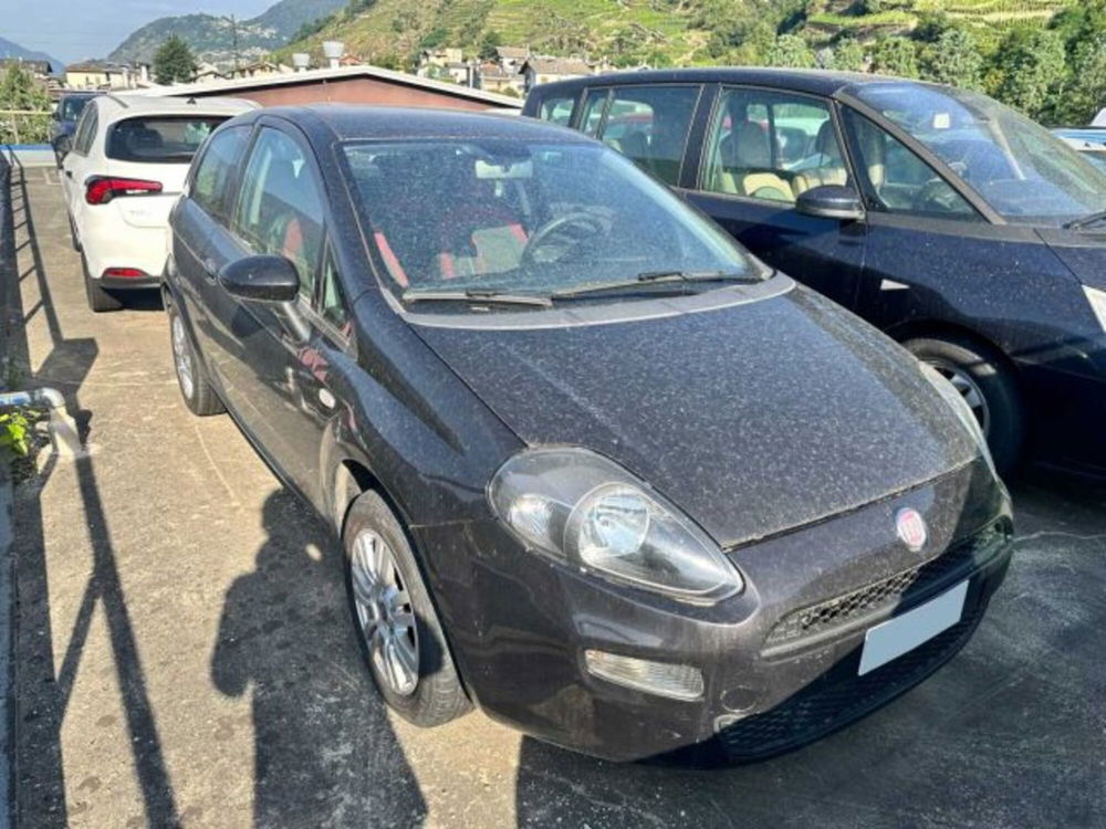 Fiat Punto usata a Sondrio (4)