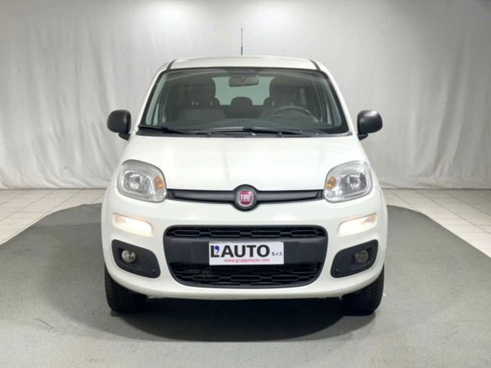 Fiat Panda usata a Sondrio (2)