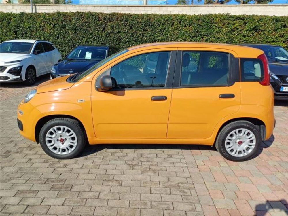 Fiat Panda usata a Bari (5)