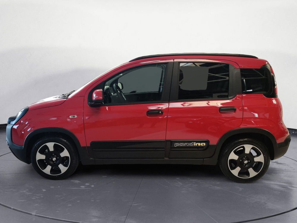 Fiat Panda Cross nuova a Pordenone (2)