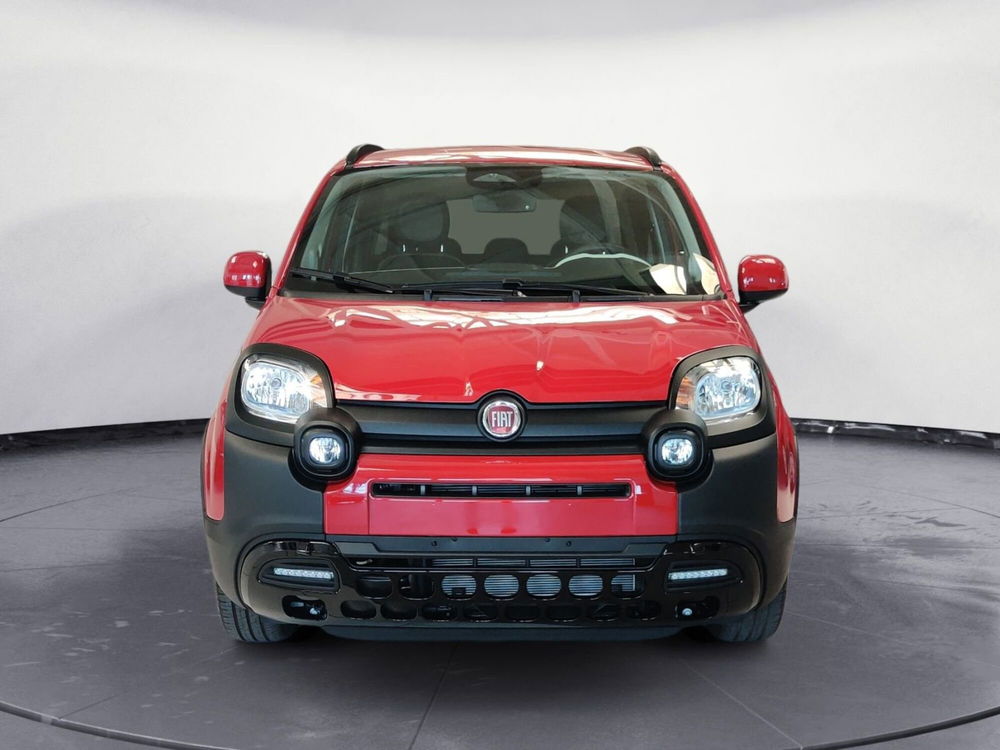 Fiat Panda Cross nuova a Pordenone (8)