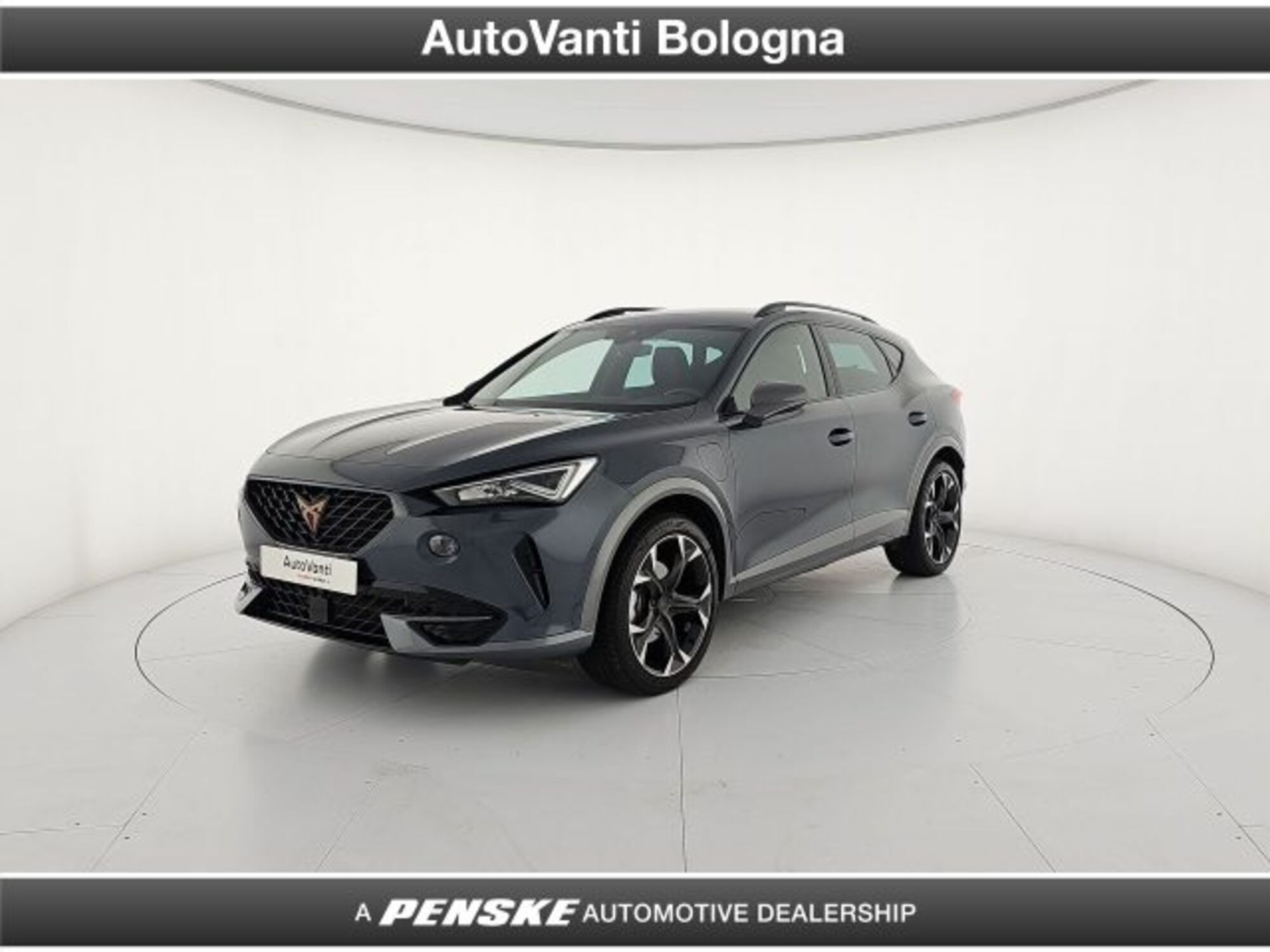 Cupra Formentor Formentor 2.0 tsi 4drive 190cv dsg del 2023 usata a Granarolo dell&#039;Emilia