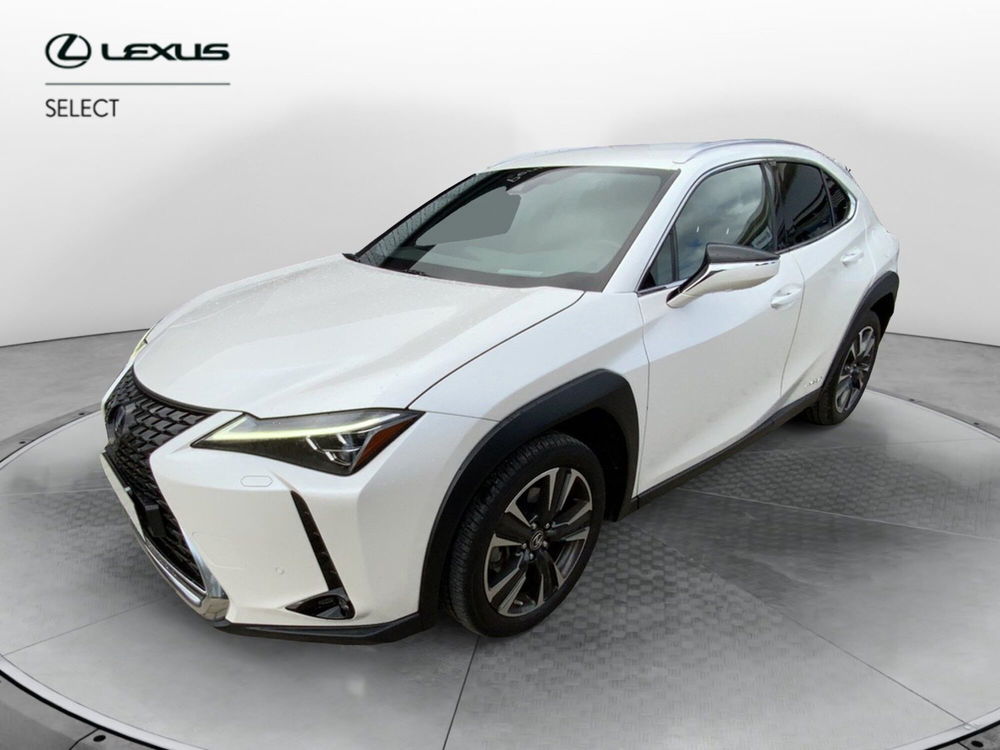 Lexus UX usata a Perugia