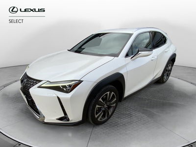 Lexus UX Hybrid 4WD Luxury  del 2020 usata a Perugia